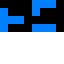 STAFF
